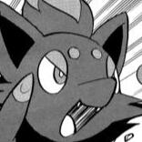 zorua