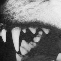 white fang