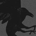 crow
